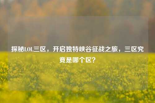 探秘LOL三区，开启独特峡谷征战之旅，三区究竟是哪个区？