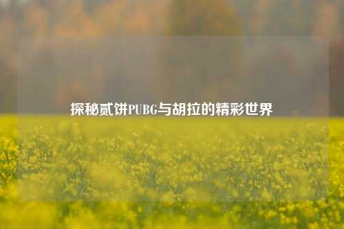 探秘贰饼PUBG与胡拉的精彩世界