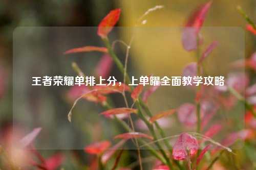 王者荣耀单排上分，上单曜全面教学攻略