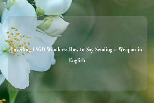 Unveiling CSGO Wonders: How to Say Sending a Weapon in English