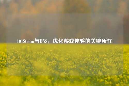 101Steam与DNS，优化游戏体验的关键所在