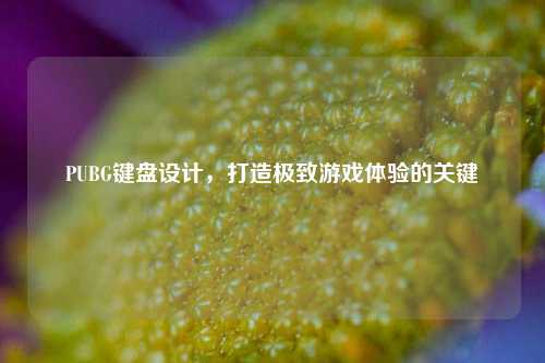 PUBG键盘设计，打造极致游戏体验的关键