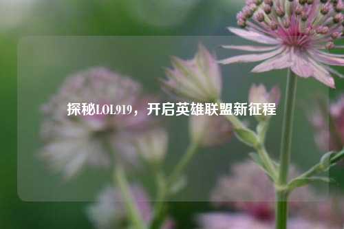 探秘LOL919，开启英雄联盟新征程