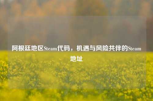 阿根廷地区Steam代码，机遇与风险共伴的Steam地址
