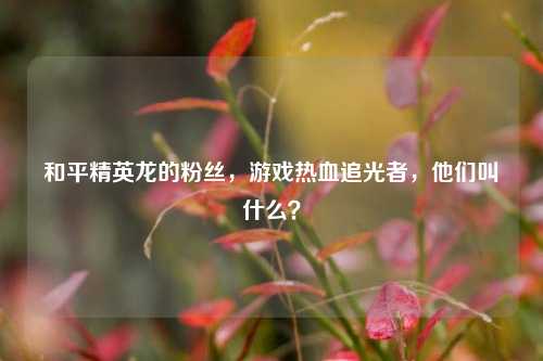 和平精英龙的粉丝，游戏热血追光者，他们叫什么？