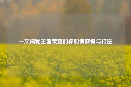 一文揭秘王者荣耀的标如何获得与打法