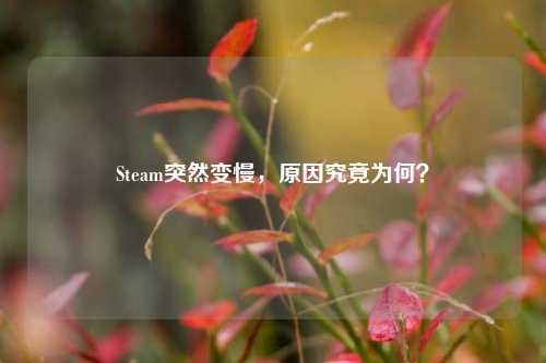 Steam突然变慢，原因究竟为何？