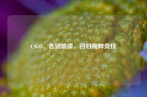 CSGO，告别喷漆，回归纯粹竞技