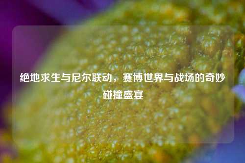 绝地求生与尼尔联动，赛博世界与战场的奇妙碰撞盛宴