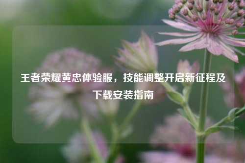 王者荣耀黄忠体验服，技能调整开启新征程及下载安装指南