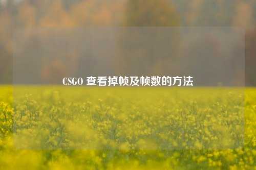CSGO 查看掉帧及帧数的方法