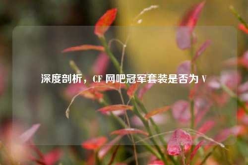 深度剖析，CF 网吧冠军套装是否为 V