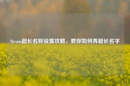 Steam超长名称设置攻略，教你如何弄超长名字