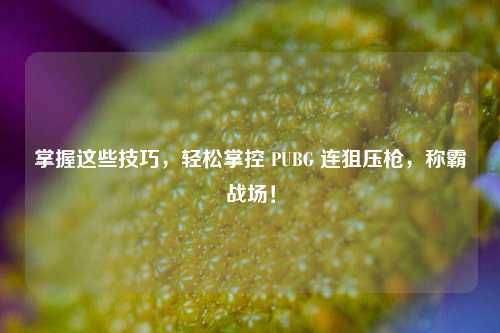 掌握这些技巧，轻松掌控 PUBG 连狙压枪，称霸战场！