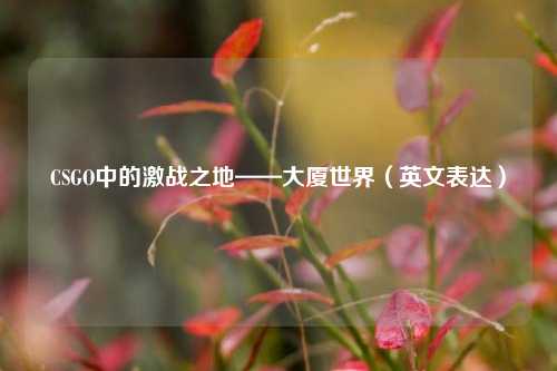 CSGO中的激战之地——大厦世界（英文表达）