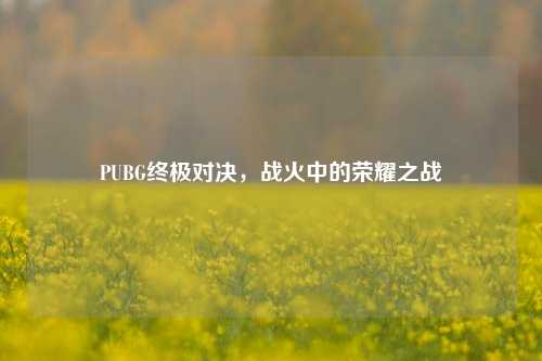 PUBG终极对决，战火中的荣耀之战