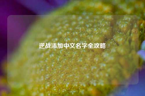 逆战添加中文名字全攻略