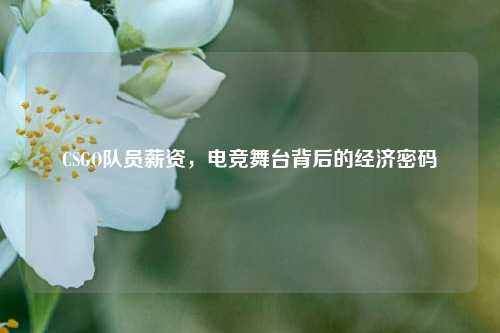 CSGO队员薪资，电竞舞台背后的经济密码