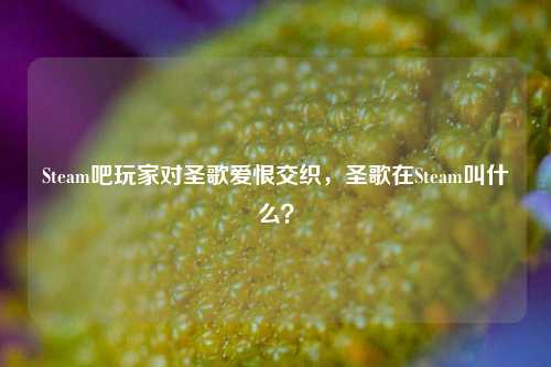 Steam吧玩家对圣歌爱恨交织，圣歌在Steam叫什么？