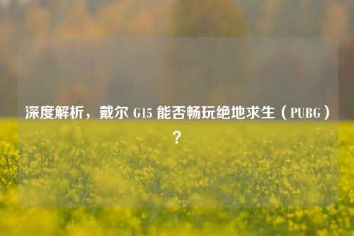 深度解析，戴尔 G15 能否畅玩绝地求生（PUBG）？