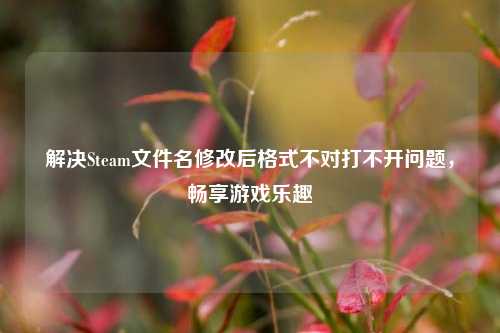 解决Steam文件名修改后格式不对打不开问题，畅享游戏乐趣