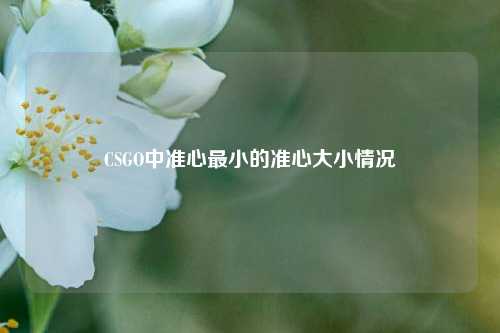 CSGO中准心最小的准心大小情况