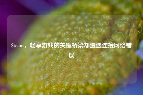 Steam，畅享游戏的关键桥梁却遭遇连接网络错误