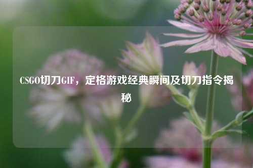 CSGO切刀GIF，定格游戏经典瞬间及切刀指令揭秘