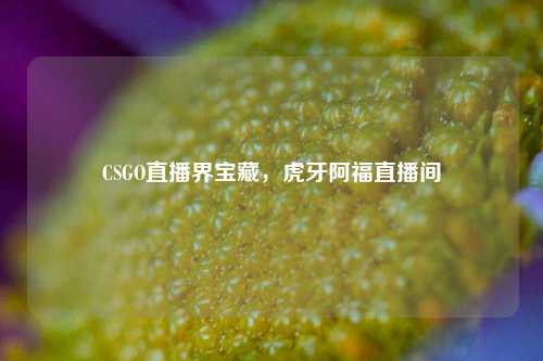 CSGO直播界宝藏，虎牙阿福直播间