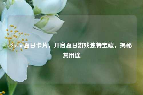 Steam夏日卡片，开启夏日游戏独特宝藏，揭秘其用途