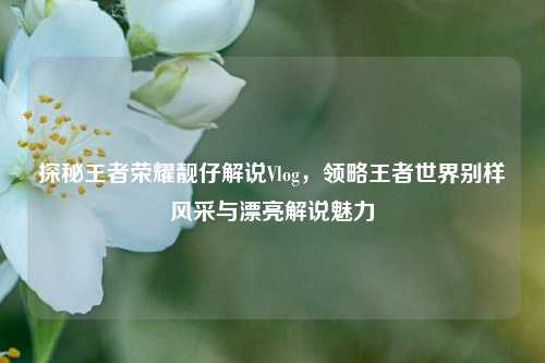 探秘王者荣耀靓仔解说Vlog，领略王者世界别样风采与漂亮解说魅力