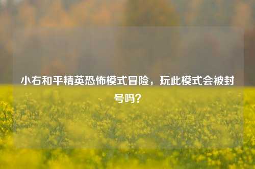 小右和平精英恐怖模式冒险，玩此模式会被封号吗？