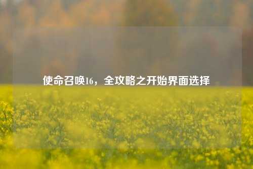 使命召唤16，全攻略之开始界面选择