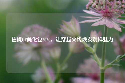佐魄CF美化包2020，让穿越火线焕发别样魅力