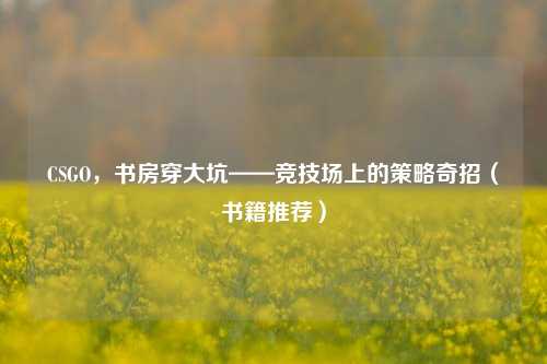 CSGO，书房穿大坑——竞技场上的策略奇招（书籍推荐）