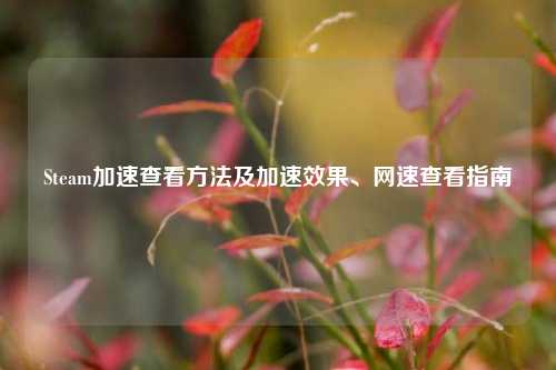 Steam加速查看方法及加速效果、网速查看指南