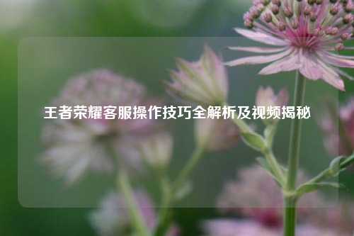 王者荣耀客服操作技巧全解析及视频揭秘
