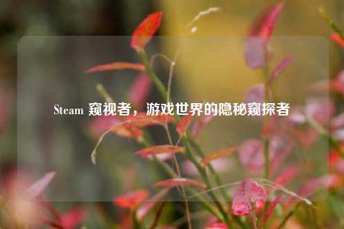 Steam 窥视者，游戏世界的隐秘窥探者