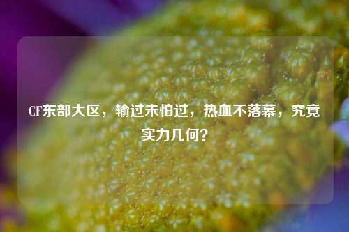 CF东部大区，输过未怕过，热血不落幕，究竟实力几何？