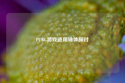 PUBG游戏适用轴体探讨