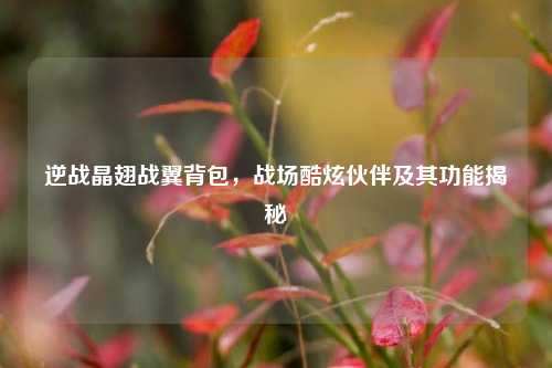 逆战晶翅战翼背包，战场酷炫伙伴及其功能揭秘