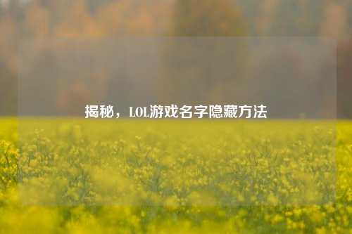 揭秘，LOL游戏名字隐藏方法