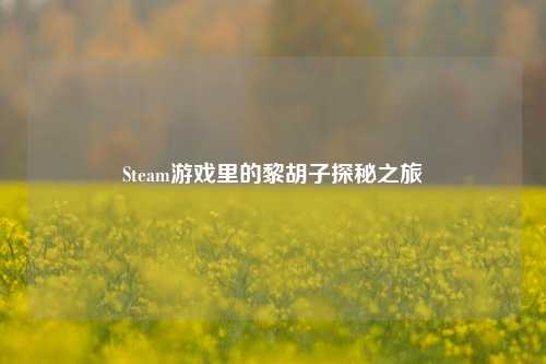 Steam游戏里的黎胡子探秘之旅