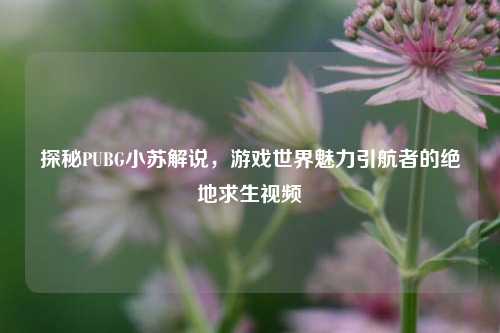 探秘PUBG小苏解说，游戏世界魅力引航者的绝地求生视频