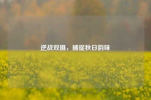 逆战双摄，捕捉秋日韵味