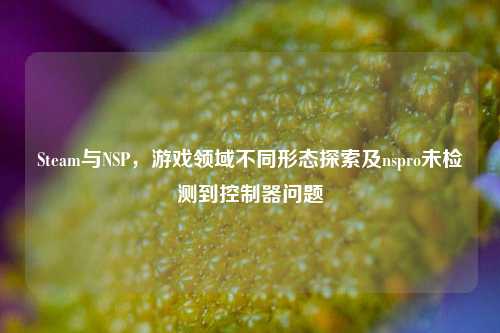 Steam与NSP，游戏领域不同形态探索及nspro未检测到控制器问题