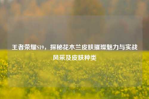 王者荣耀S19，探秘花木兰皮肤璀璨魅力与实战风采及皮肤种类