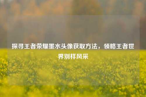 探寻王者荣耀墨水头像获取方法，领略王者世界别样风采