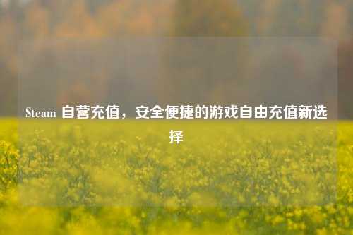 Steam 自营充值，安全便捷的游戏自由充值新选择