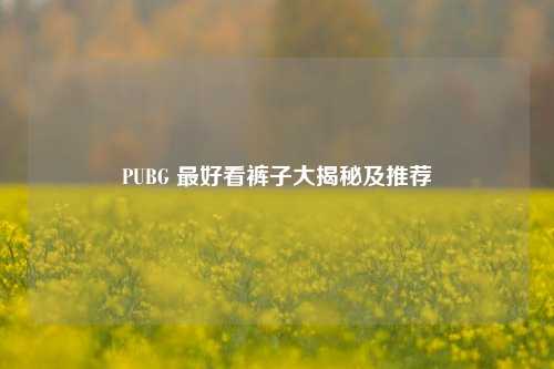 PUBG 最好看裤子大揭秘及推荐